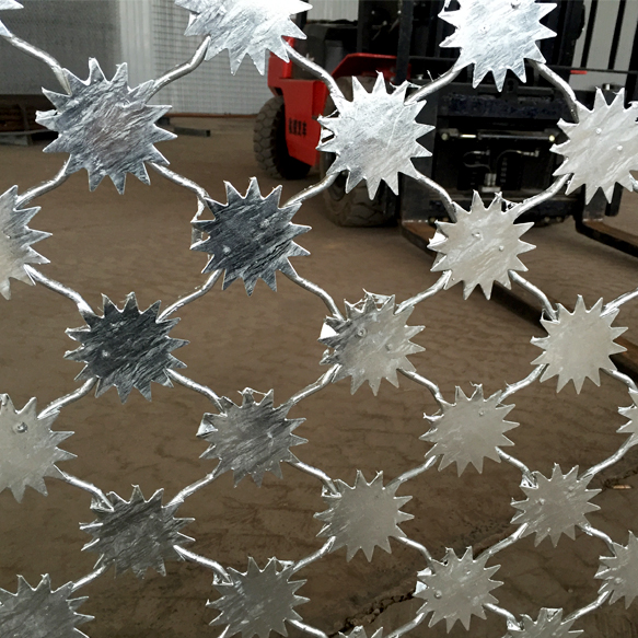 監(jiān)獄防護網(wǎng)圖片4