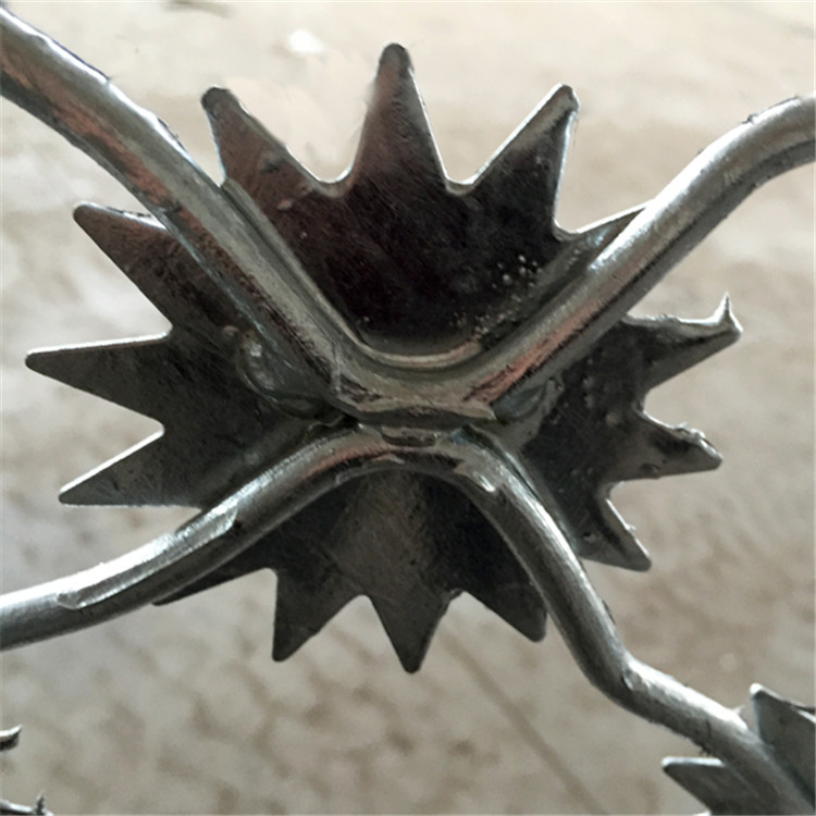 監(jiān)獄梅花刺鐵絲網圖片2