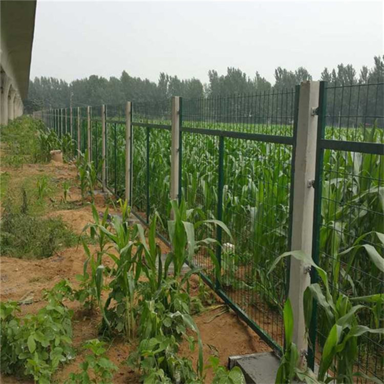 通線(xiàn)2012（8002）圖片3